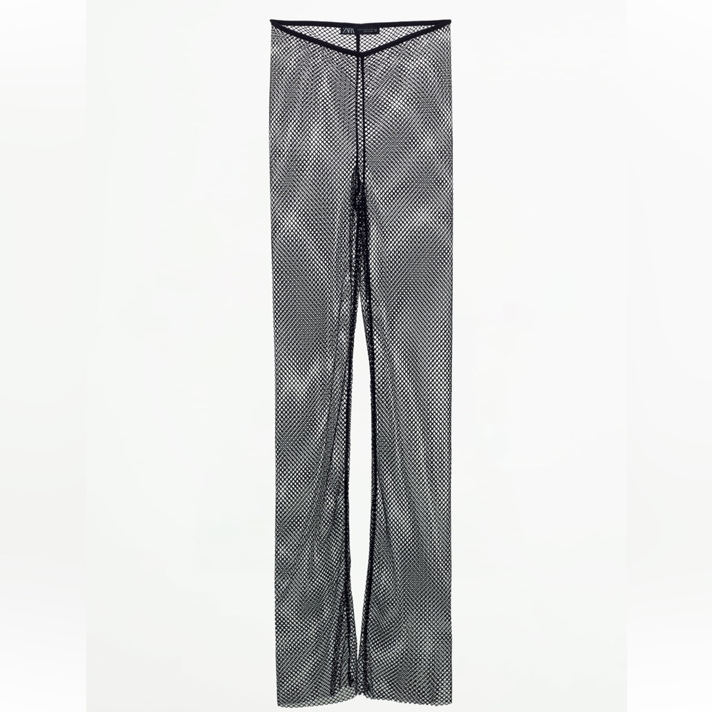 Zara Shimmery Mesh Leggings